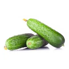 Dưa chuột